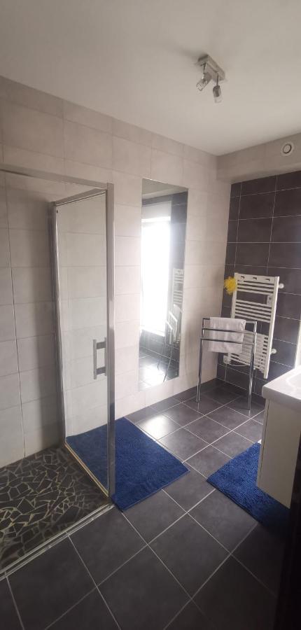 דירות Voellerdingen Chez Manu מראה חיצוני תמונה